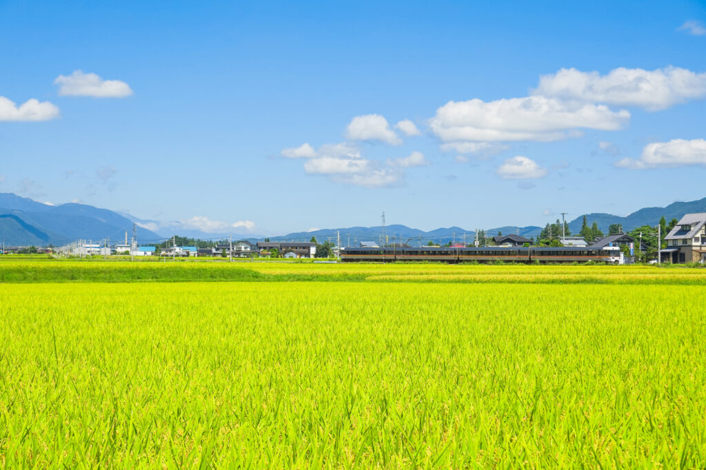 田舎の実家や田畑は継ぐ？継がない？処分方法や活用方法